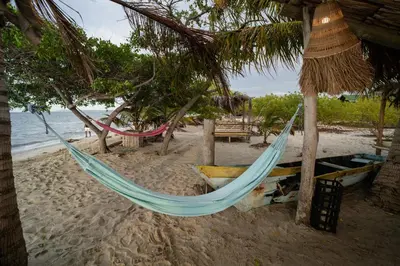 a hammock on a beach near the ocean at Casa del Mar by Al Alma in San Onofre