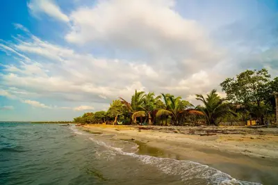an empty beach with palm trees and the ocean at Casa del Mar by Al Alma in San Onofre