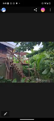 a television screen with a picture of a garden at Lala's Place in Isla Fuerte