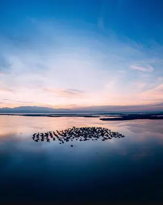 a group of rocks in the water at sunset at Laguna tour in Nueva Venecia