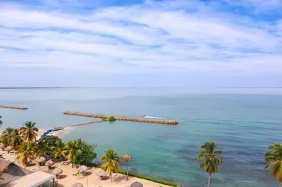 a view of a beach with palm trees and a pier at Hermoso Apartamento Frente al Mar 2 Habitaciones PAZ146 in Coveñitas