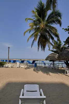 a beach with lounge chairs and a palm tree at Hermoso Apartamento Frente al Mar 2 Habitaciones PAZ146 in Coveñitas