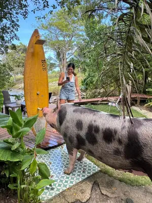 a woman standing next to a pig next to a surfboard at COCO SALVAJE Tree House in La Rada