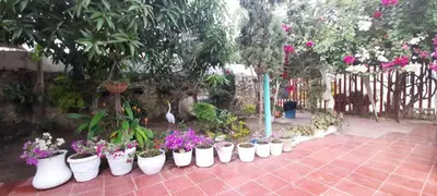 a row of white pots of flowers and plants at Cabaña Puerto Colombia CARNAVAL BARRANQUILLA 2025 in Puerto Colombia