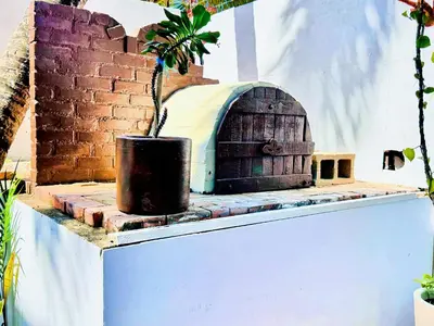 a plant in a pot sitting on top of a table at Auaecoco Hotel in Cartagena de Indias