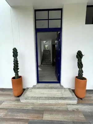 a hallway with two cotted plants in front of a door at Shambala Beach House in San Bernardo del Viento
