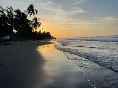 a beach with palm trees and the ocean at sunset at Shambala Beach House in San Bernardo del Viento