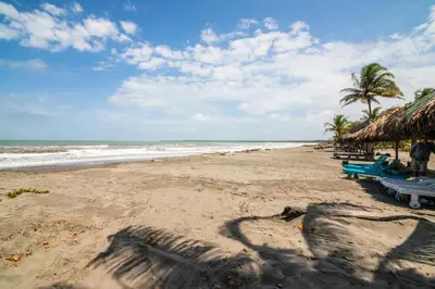 a beach with benches and palm trees and the ocean at Cabaña San Miguel in Moñitos