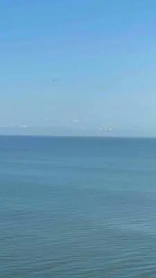 a view of the ocean with birds in the distance at Lovely apartment in front the beach in Coveñas