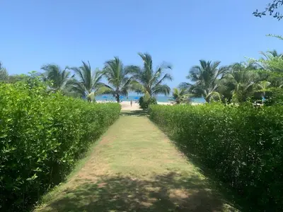 a dirt path leading to a beach with palm trees at Condominio frente al mar con acceso directo a la playa Morros IO in Cartagena de Indias