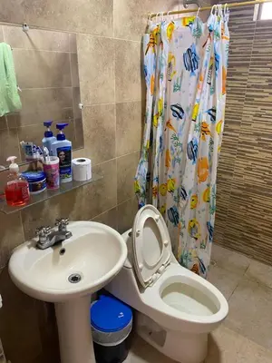 a bathroom with a sink and a toilet and a shower curtain at Casa Finca la Parcela in San Onofre