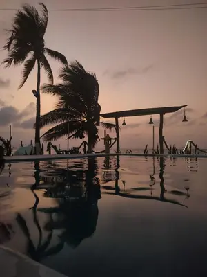 a swimming pool with a palm tree and a resort at Casa Arrecife San Bernardo del Viento in San Bernardo del Viento