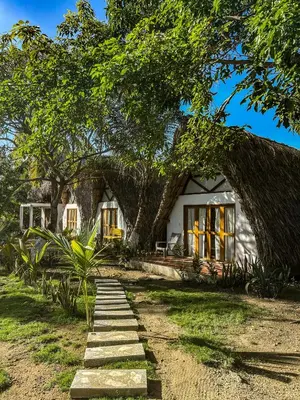 a house with a large tree in front of it at Casa Arrecife San Bernardo del Viento in San Bernardo del Viento