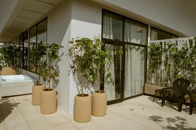 a group of potted trees in a building at Terrazas Hotel Boutique in Cartagena de Indias