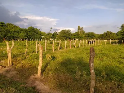 a row of wooden fence posts in a field at Casa Campestre Rancho 75 Eco Park in Arjona