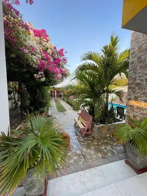 a garden with palm trees and a bench and flowers at Cabaña Julianita in Santa Veronica
