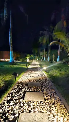a walkway with rocks and palm trees at night at PalMar Ecolodge in Moñitos