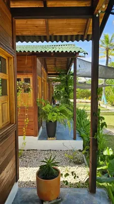a wooden pergola with potted plants on a patio at PalMar Ecolodge in Moñitos