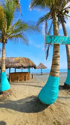 a beach with two palm trees and a sign on it at PalMar Ecolodge in Moñitos
