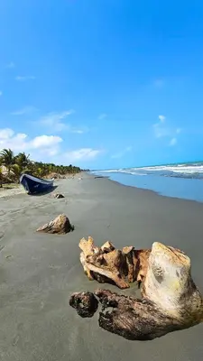 a piece of drift wood on a beach with a boat at PalMar Ecolodge in Moñitos