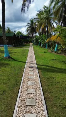 a stone path in a park with palm trees at PalMar Ecolodge in Moñitos