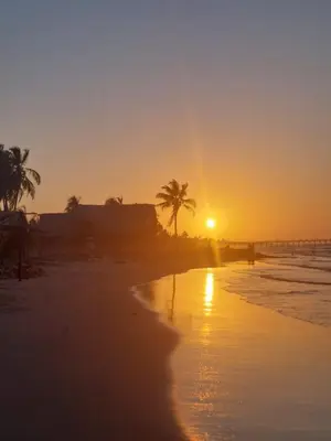 a sunset on a beach with a palm tree at Cabaña Las Tres Palmas in San Bernardo del Viento in San Bernardo del Viento