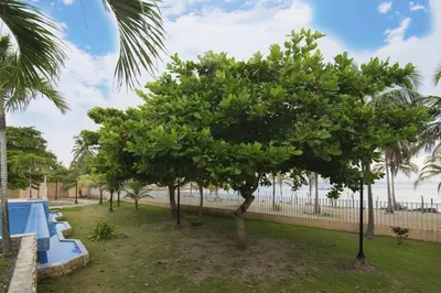 a tree next to a swimming pool next to the ocean at Magico Apartamento Frente al Mar 3 Habitaciones MSC22 in Coveñas