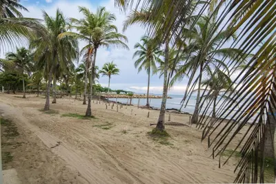 a sandy beach with palm trees and the ocean at Magico Apartamento Frente al Mar 3 Habitaciones MSC22 in Coveñas