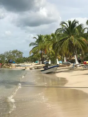 a beach with palm trees and a boat on the sand at Cabaña MARDELA Casa de Playa in San Antero