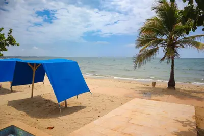 a blue tent on a beach with a palm tree at Hermoso Apartamento Frente al Mar 3 Habitaciones B62 in Coveñitas
