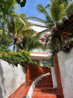 a brick staircase leading up to a building with palm trees at Club House in Maizal