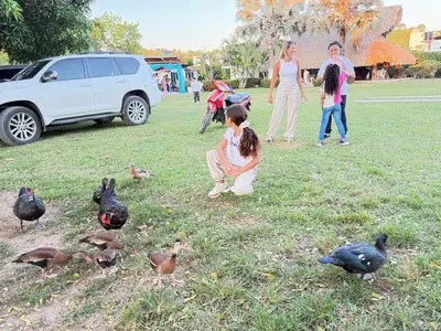 a little girl and a group of chickens in a field at Hacienda Villa Hermelina-Casa Campestre in Turbaco