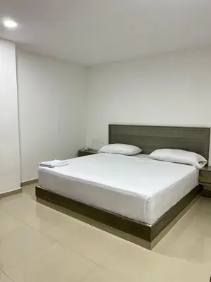 a bedroom with a large bed in a room at Hotel Brisas in Tierra Bomba