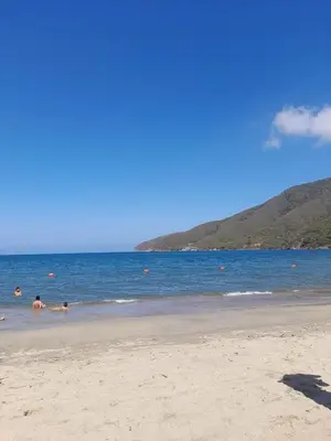 a group of people swimming in the water on a beach at Cactus Beach Stay APARTAMENTO in Santa Marta