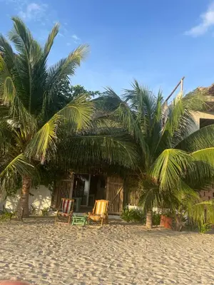 a house on the beach with two palm trees at Cabaña la bota in Rincón