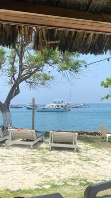 a beach with chairs and a tree and a boat at Agua Zalada in Isla Grande