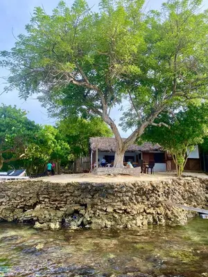 a house with a tree on an island next to the water at Agua Zalada in Isla Grande