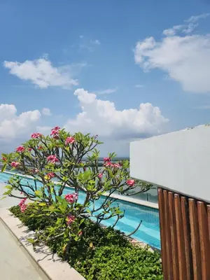 a tree with pink flowers next to a swimming pool at Martinique 1001 luxure escape & comfort in Cartagena de Indias