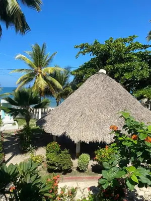 a straw hut with a palm tree and the ocean at Las Margaritas Frente al Mar 2 in Coveñas