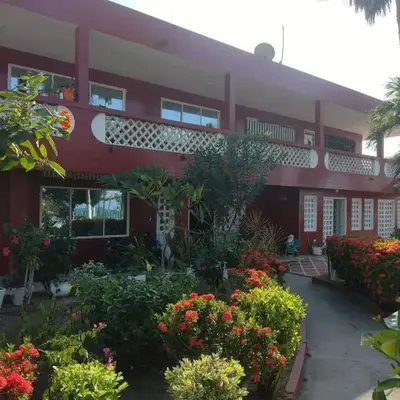 Las Margaritas Frente al Mar 2