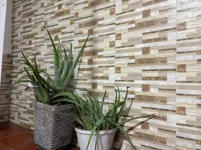 Gallery image of Casa ciudad jardín in Barranquilla