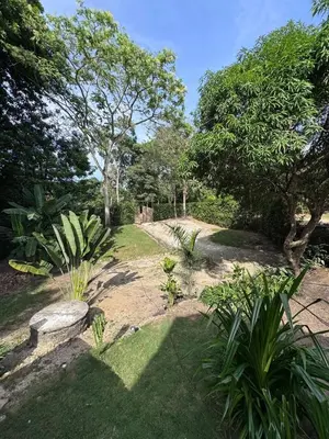 a garden with a bench and trees and grass at City Escape Casa Mariguana in Turbaco