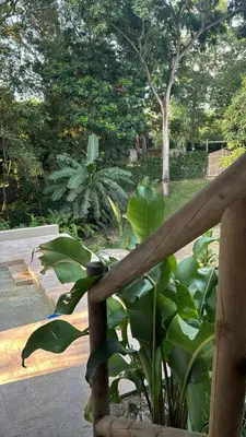 a wooden fence with a plant in a garden at City Escape Casa Mariguana in Turbaco