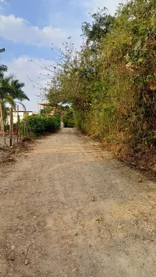 a dirt road with trees on the side of it at Alta vista Turbaco in Cartagena de Indias