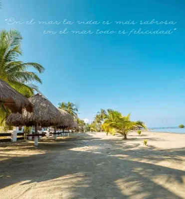 an empty beach with straw umbrellas and palm trees at CABAÑAS CALIPSO, 2 piso in Coveñas
