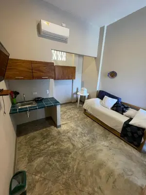 a bedroom with a bed and a sink in it at Terraza Del Sol in Coveñitas