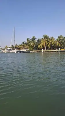 a large body of water with palm trees and a dock at Exclusive Loft in Barú, access by sea and land in Isla Barú