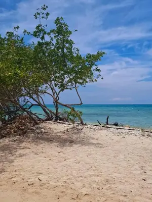 a person sitting on a beach near the ocean at Exclusive Loft in Barú, access by sea and land in Isla Barú