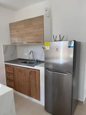 a kitchen with a stainless steel refrigerator and wooden cabinets at Holtalia in Santiago