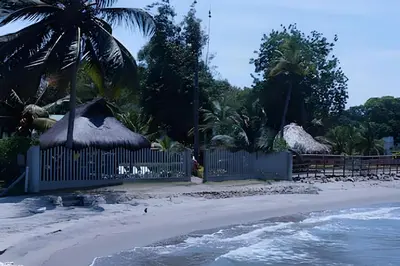 a beach with a fence and palm trees and the ocean at Tu Casa de playa frente al mar, Tolú te espera in Tolú